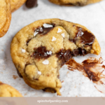 Bit into Chocolate Chip Cookie with melted chocolate