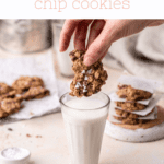 pinterest for oatmeal chocolate chip cookie recipes
