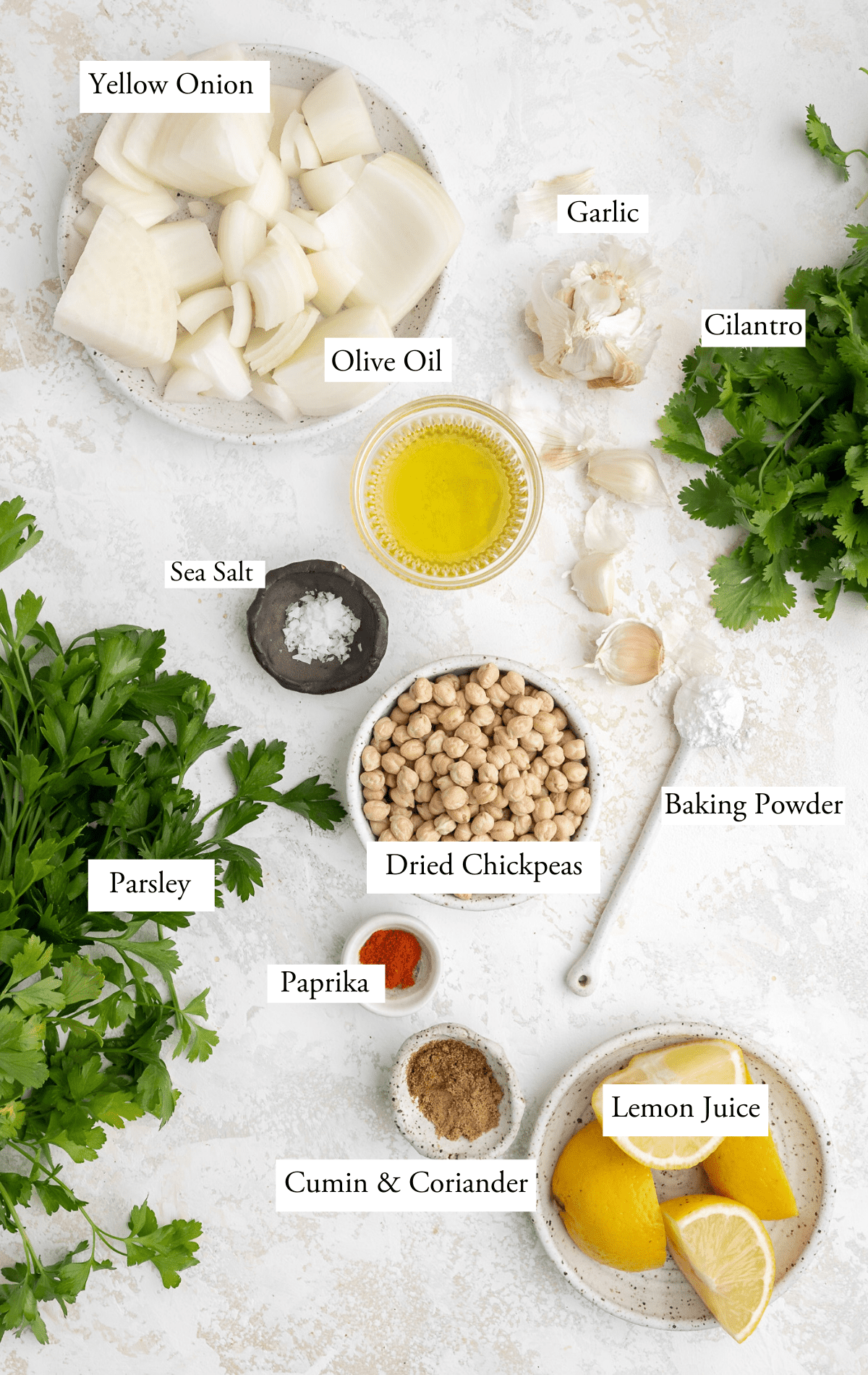 Falafel ingredients: dried chickpeas, parsley, cilantro, onion, garlic, cumin, coriander, lemon juice, baking powder, olive oil, paprika