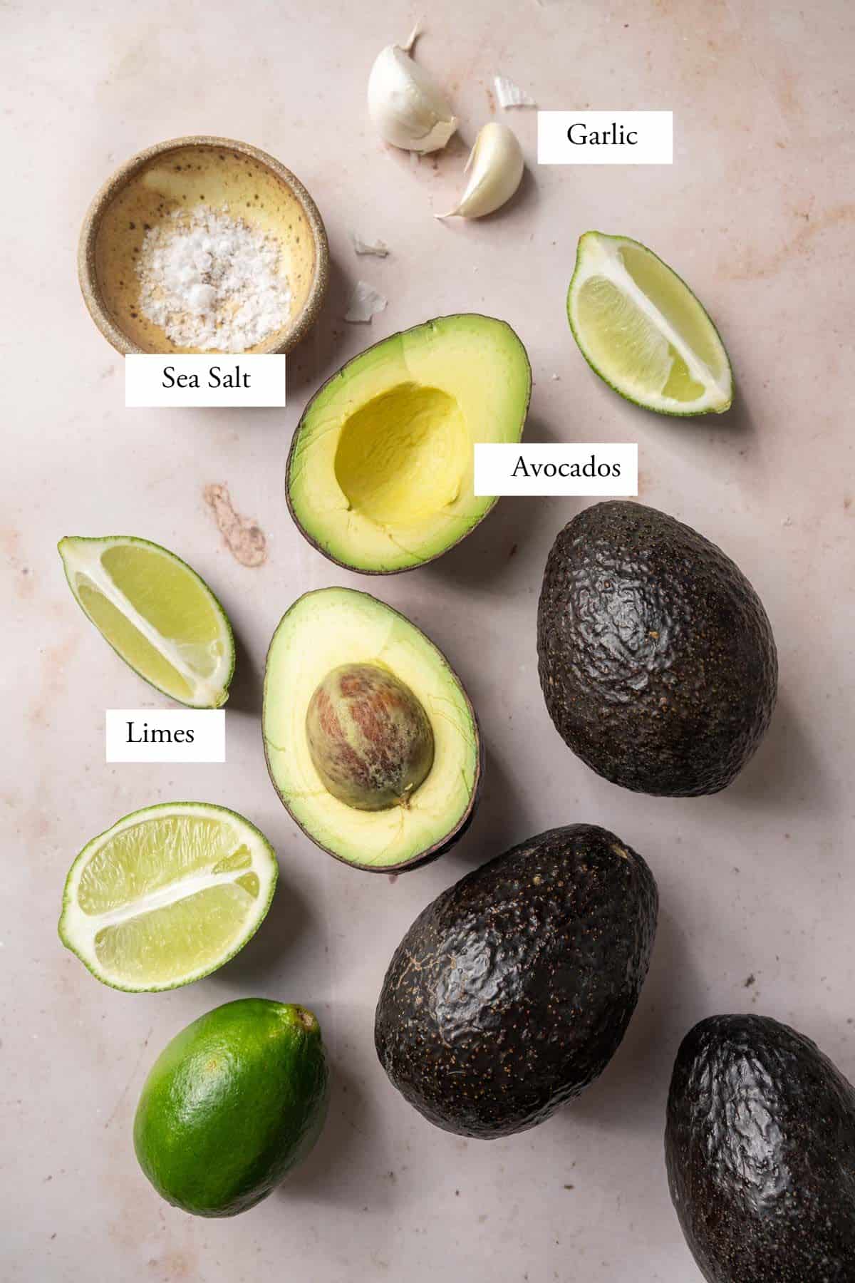 guacamole ingredients labeled.